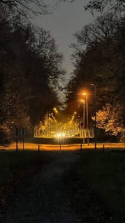 074 Vivo X200 Pro.jpg