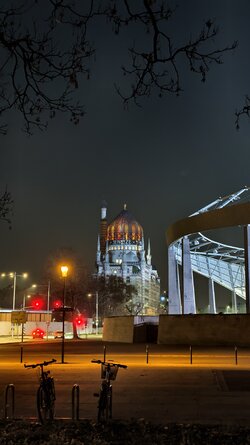 076 Vivo X200 Pro.jpg