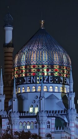 079 Oppo Find X9 Pro.jpg