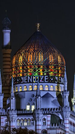 079 Vivo X200 Pro.jpg