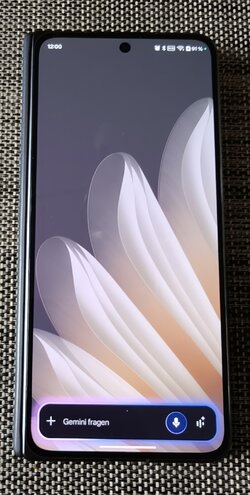 IMG_20251109_120052.jpg IMG_20251109_120052.jpg