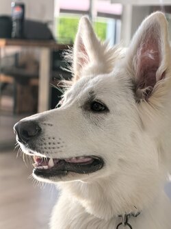 IMG_20251110_142917 (1).jpg