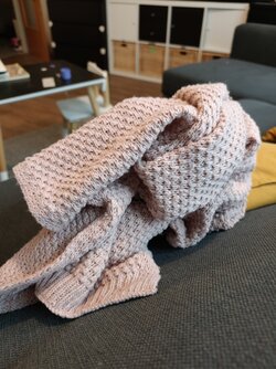 IMG20251112091505.jpg IMG20251112091505.jpg