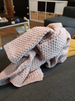 IMG20251112091505 (1).jpg IMG20251112091505 (1).jpg