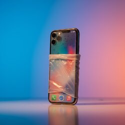 IMG_2298.jpeg IMG_2298.jpeg