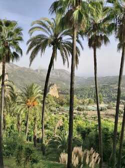 IMG_20251113_150600 (1).jpg