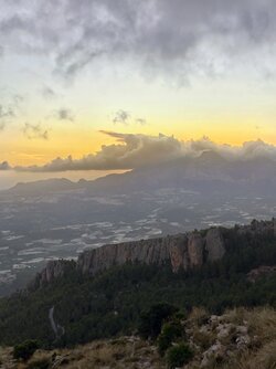 IMG_20251114_174507 (1).jpg