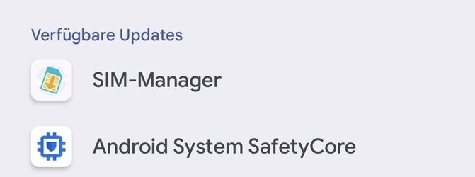 Screenshot_20251121_064200_Google Play Store.jpg