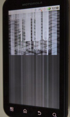 PB121112.jpg