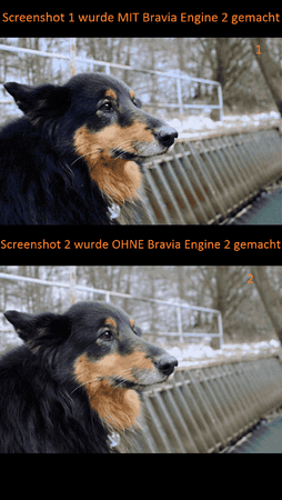 screenshot 2.png