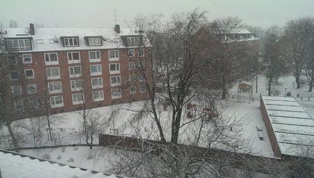 IMAG0006.jpg