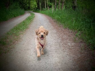 PXL_20250508_170918874.jpg PXL_20250508_170918874.jpg