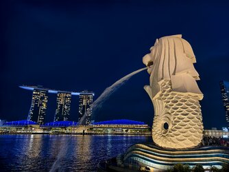 IMG_20251123_191930.jpg IMG_20251123_191930.jpg