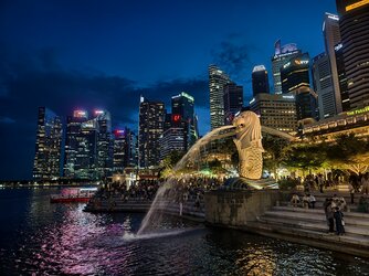 IMG_20251123_191814.jpg IMG_20251123_191814.jpg