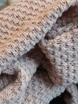 1000020820.jpg 1000020820.jpg