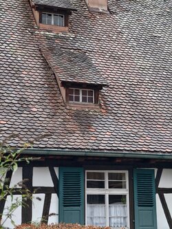 IMG_20251109_132132.jpeg IMG_20251109_132132.jpeg