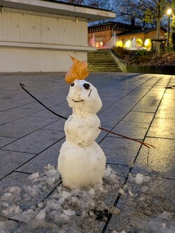 PSX_20251124_164628.jpg PSX_20251124_164628.jpg