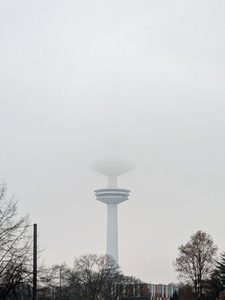 PSX_20251125_090820.jpg PSX_20251125_090820.jpg