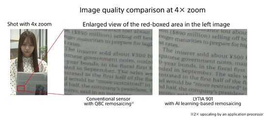 IMG_5026.jpeg IMG_5026.jpeg