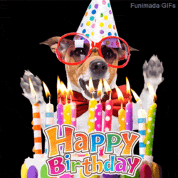 Geburtstag_Hund1.gif