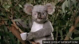 zuschlgen.gif zuschlgen.gif