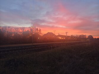 Nebel der nicht da war_IMG_20251112.jpg