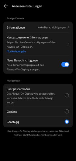 Anzeigeeinstellungen Ganztägig.jpg