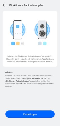 Direktionale Audiowiedergabe.jpg