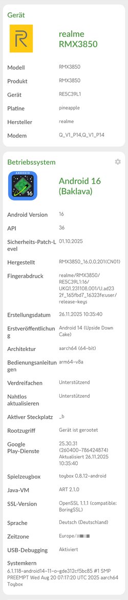 RMX3850_11_F.20 .jpg