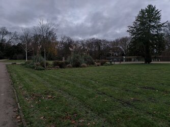 IMG_20251129_163546.jpg IMG_20251129_163546.jpg