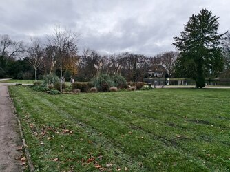 IMG_20251129_163543.jpg IMG_20251129_163543.jpg