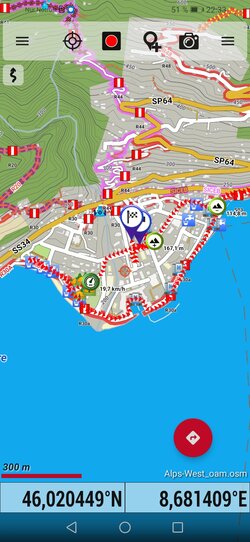 Huawei Y6-2019+OruxMa.V.10.04.jpg