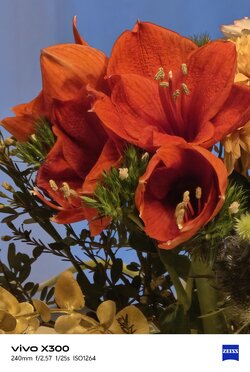 IMG_20251204_162201.jpg IMG_20251204_162201.jpg