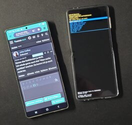 Galaxy Z Flip 7 über den Wiederherstellungsmodus Recover Mode.jpg