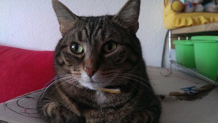 IMAG0009.jpg