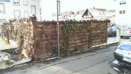 IMAG0145.jpg