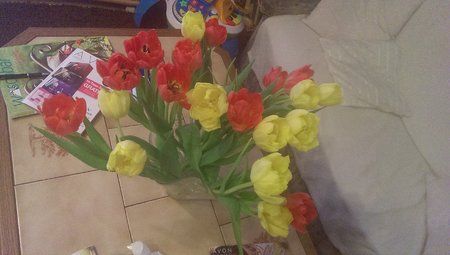 IMAG0107.jpg