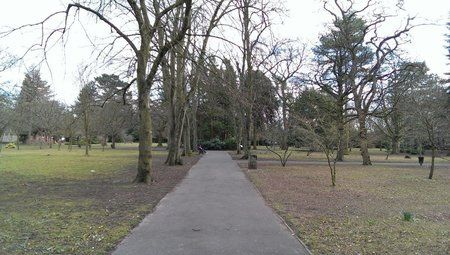 park-one.jpg
