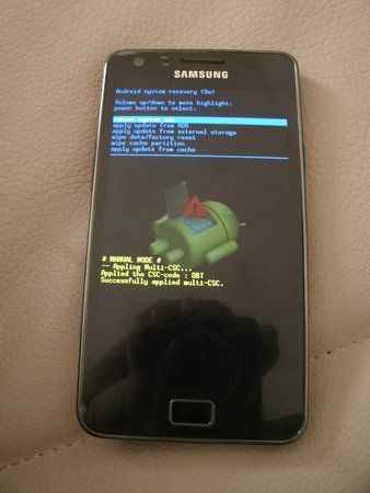 root1.jpg