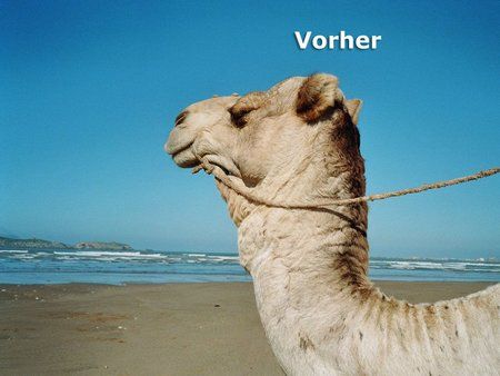 neatimage-vorher-2.jpg