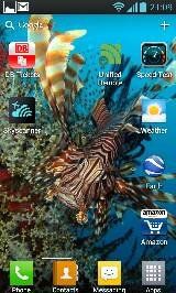 uploadfromtaptalk1364242457156.jpg