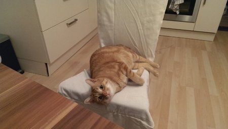IMAG0024.jpg