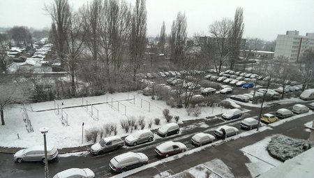 2013-03-10 11.21.40.jpg