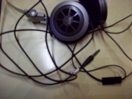 100_0511.jpg
