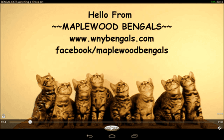 Screenshot_2013-03-31-23-13-55.png