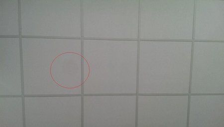 _lAgiVmUBFqd1v72NpI7Yp6_0xRnH6nFR7Aln4qusbs.jpg