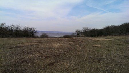 IMAG0013.jpg