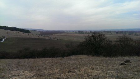 IMAG0015.jpg