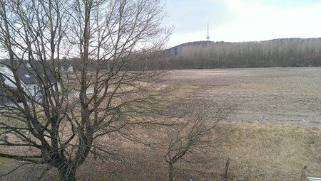 IMAG0017.jpg