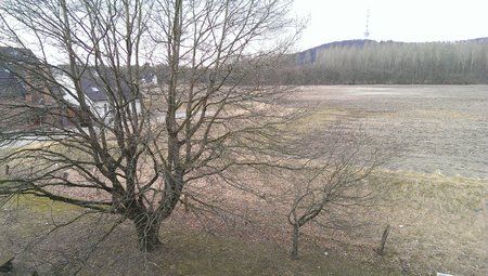 IMAG0018.jpg